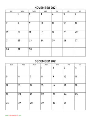 November and December 2021 Calendar Vertical